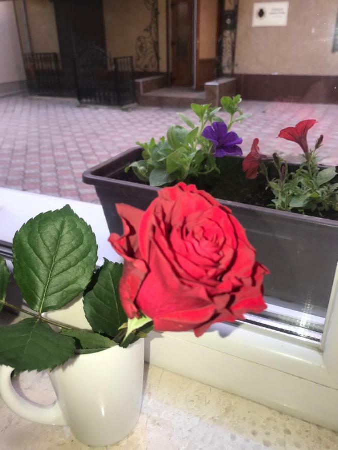 Newtone Apartment Chernivtsi